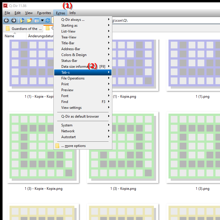 What options does the tab management in the file explorer Q Dir for Windows offer